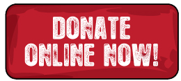 donate now